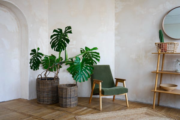 sala-con-plantas